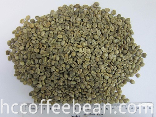 Chinese raw green coffee beans,100% arabica type, jute bags packing